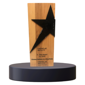 oracle netsuite solution provider