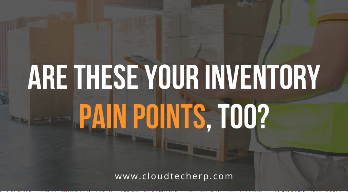Are These Your Inventory Pain Points, Too?