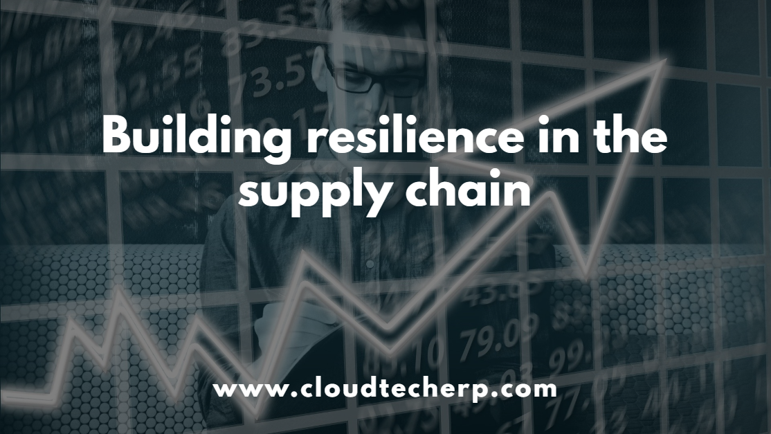 Building Resilience in the Supply Chain