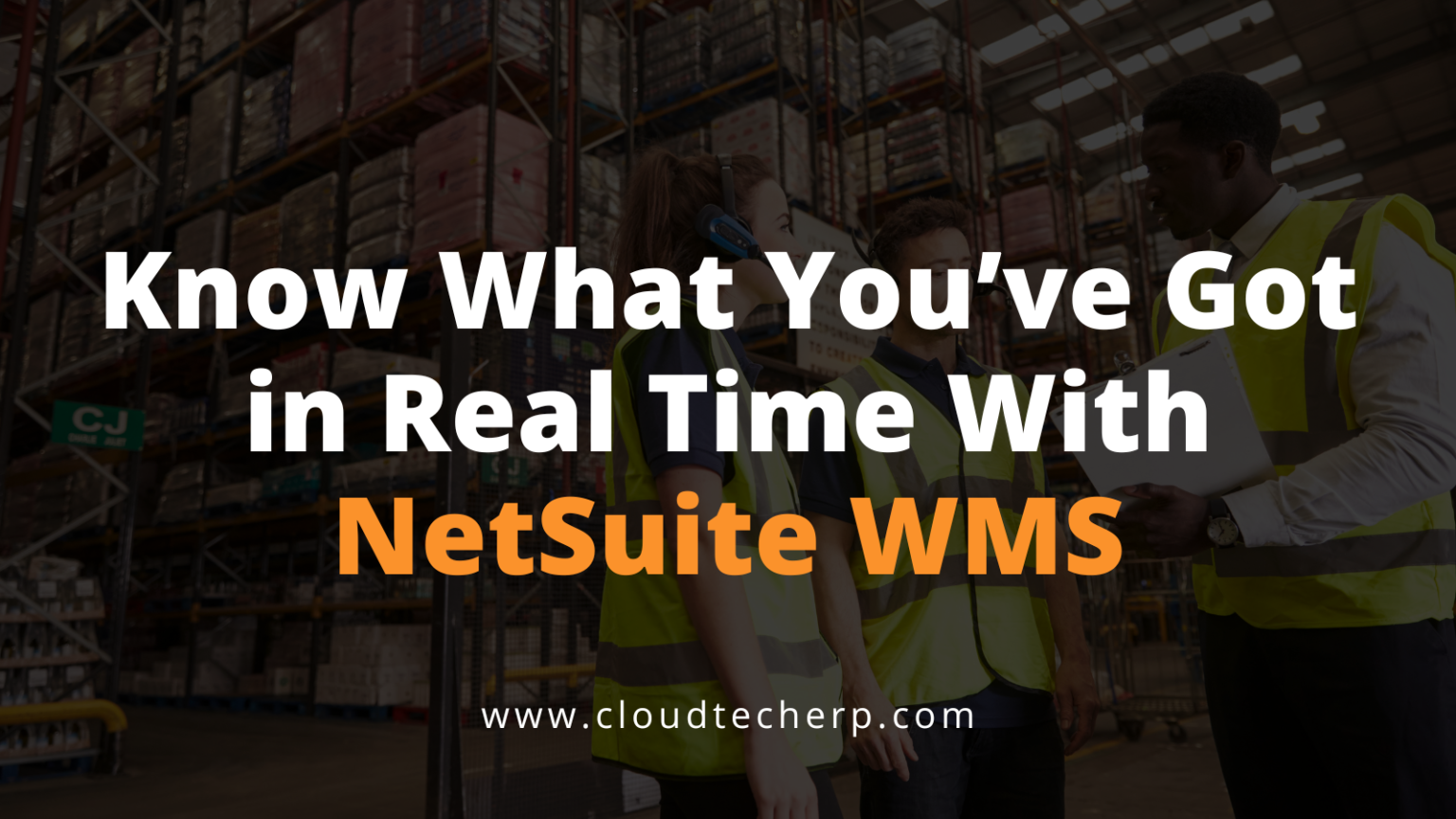 Know What You’ve Got in Real Time With Netsuite WMS