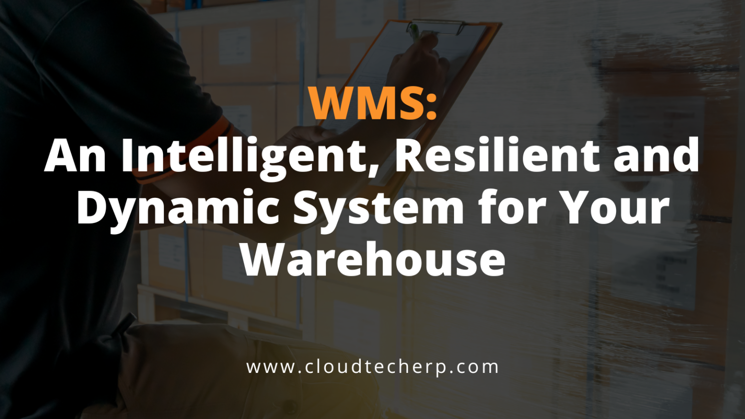 WMS: An Intelligent, Resilient and Dynamic System for Your Warehouse